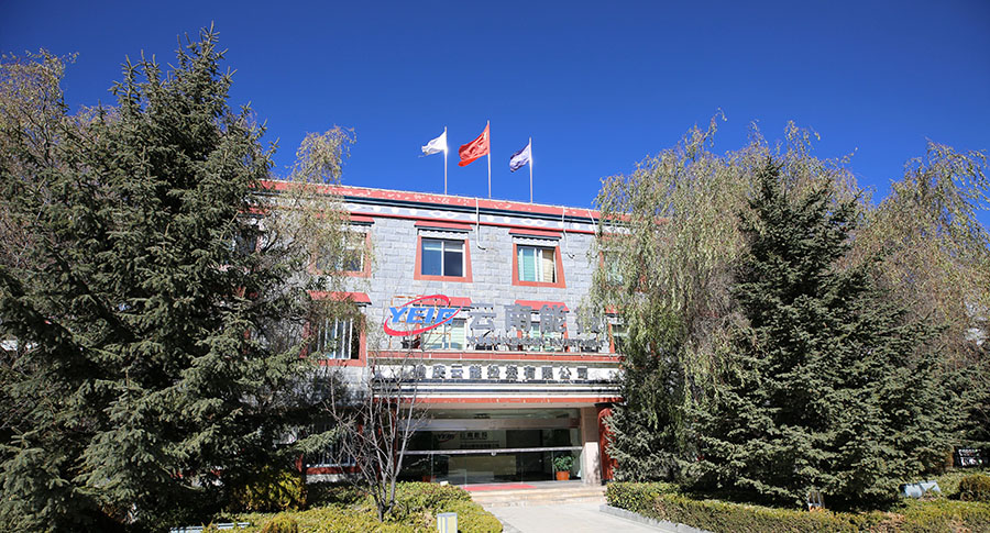 黨建融入經(jīng)營，提高工作效能-云南能投居正產(chǎn)業(yè)投資有限公司